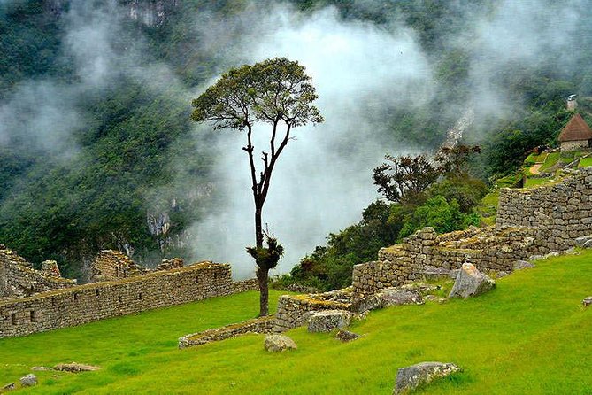 07 Day: Inca Jungle Adventure with Mountain Bike, Rafting, Zipline & Trek - Day 7: Train back to Cusco and an airport drop you can plan around