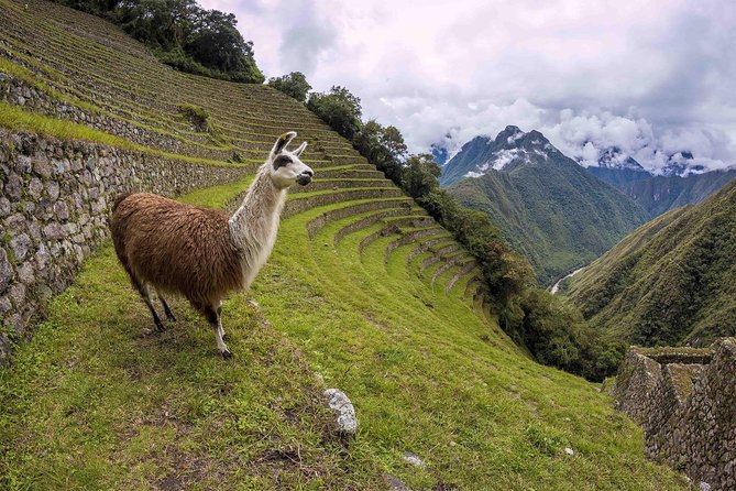 2-Day Short Inca Trail to Machu Picchu - Small-Group Value: Why Max 10 Makes a Difference on the Trail