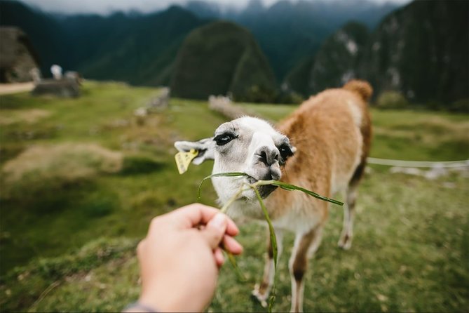 2-Day Short Inca Trail to Machu Picchu - What You Actually Get for $680 (And What You Still Need to Budget)