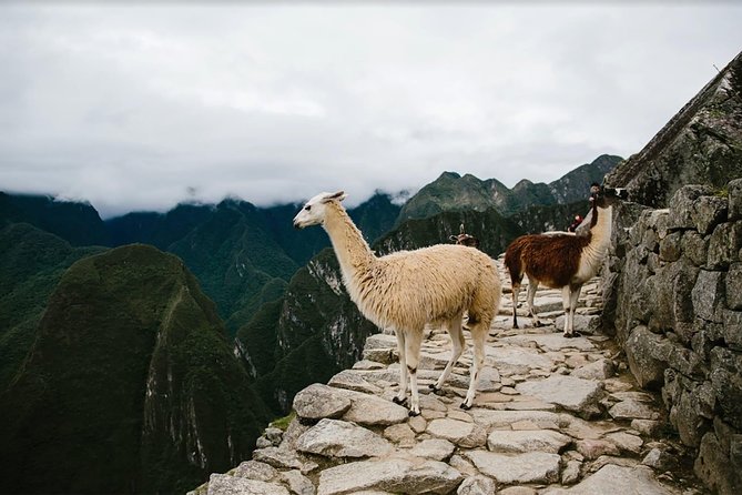 2-Day Short Inca Trail to Machu Picchu - Altitude, Pace, and Who This Trek Will Feel Great For