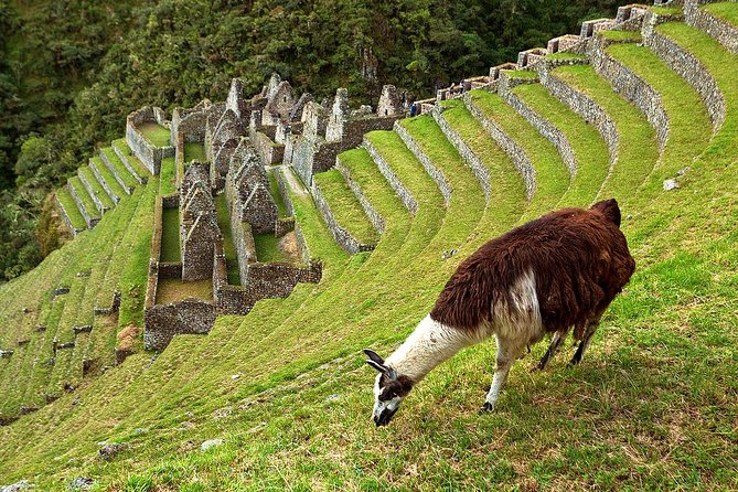 2 Day - Short Inca trail to Machu Picchu - Private Services - Price and value: what you’re paying for at $796.11 per person
