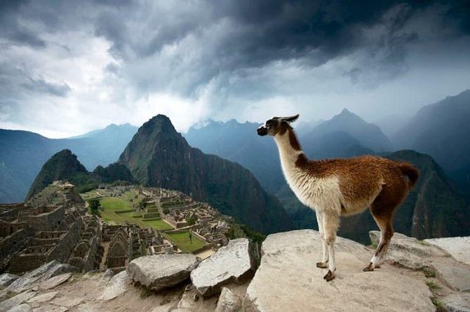 2-Day Short Inca Trail to Machu Picchu - Day Two: Early Walk, a Guided Machu Picchu History, Then Free Time to Explore