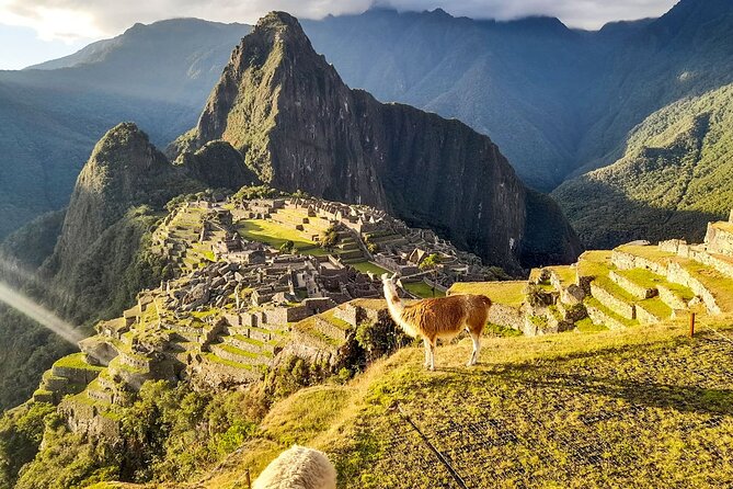 2 Day Tour Throughout the Short Inca Trail to Machu Picchu - Day 1: Cusco pickup, train to Km 104, and the Wiñay Wayna approach