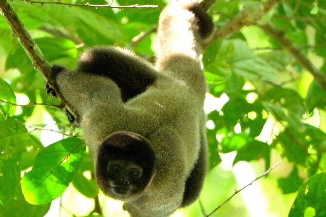 3-Day Eco-Sustainable Private Tour Manu National Park - Key things to know before you go