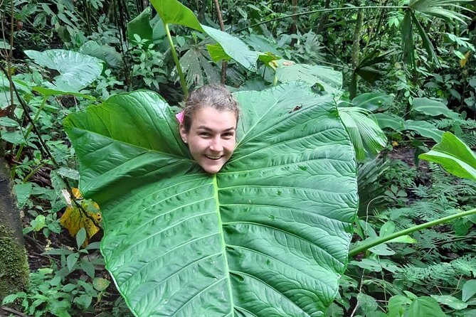 3-Day Eco-Sustainable Private Tour Manu National Park - Eco-sustainable touches that aren’t just marketing