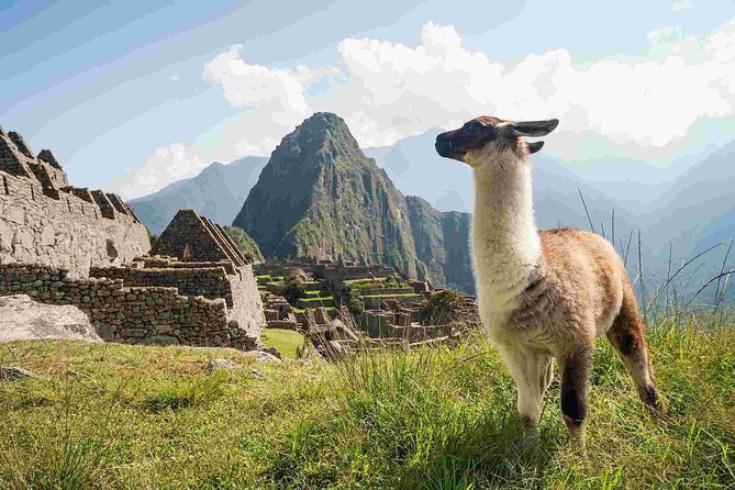 4-Day Excursion to MachuPicchu & Rainbow Mountain & City tour || All Included || - Key highlights (the stuff you’ll feel in the day)