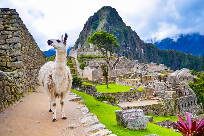 4-Day Excursion to MachuPicchu & Rainbow Mountain & City tour || All Included || - Day 2: Vinicunca Rainbow Mountain Hike That Starts at 4 a.m.