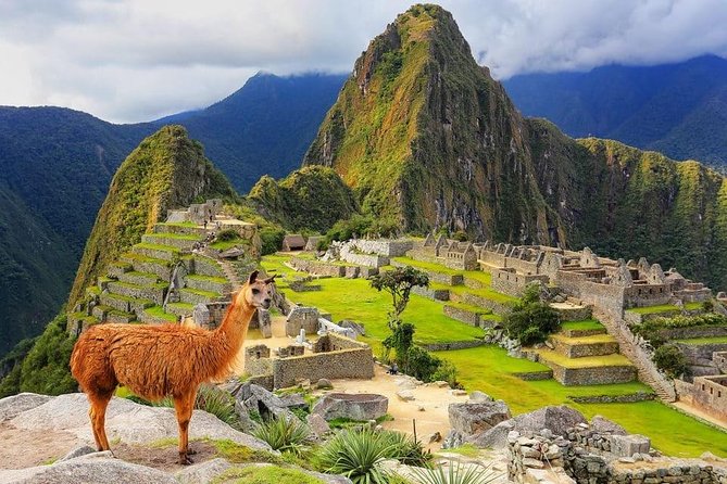 4-Day Excursion to MachuPicchu & Rainbow Mountain & City tour || All Included || - Day 4: Cusco Cathedral and a Flexible Morning Before Your Flight