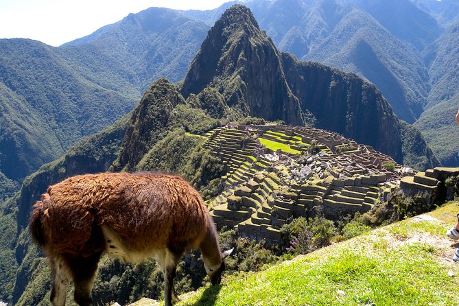 4 Day - Machu Picchu Special - Group Service - The train to Aguas Calientes: views, timing, and your one free evening
