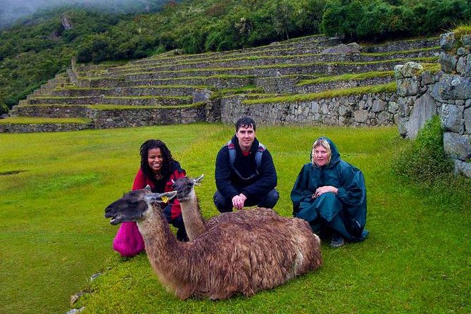 4 Day - Machu Picchu Special - Group Service - Sunrise Machu Picchu day: the bus up and the guided walking tour