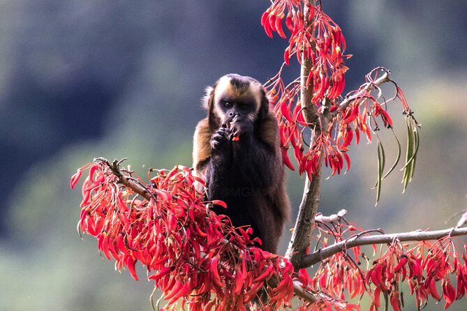 4 Day Tour to the Manu National Park - Key Points You’ll Care About
