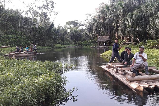 4 Day Tour to the Manu National Park - Day 4: Returning Upstream to Atalaya and Back to Cusco by Late Afternoon