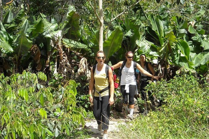 4 Days Inca Jungle to Machu Picchu Standard - Who Should Book This, and Who Should Skip It