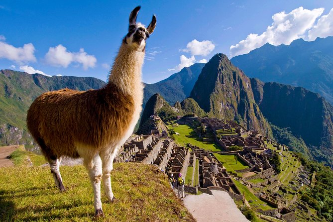 5 Day - Tour to Machu Picchu Traditional - Group service - Day 3 to Aguas Calientes: train views plus a night in Hot Springs Town