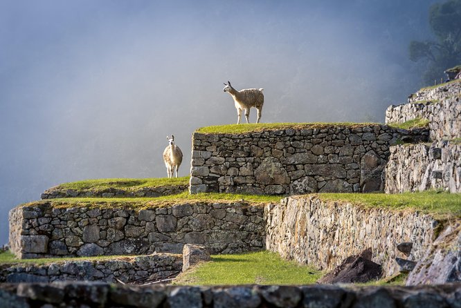 5 Day - Tour to Machu Picchu Traditional - Group service - Should you book?