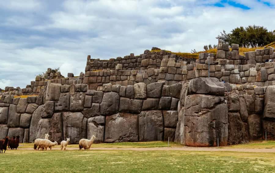 City Tour Cusco Qoricancha Sacsayhuaman y Tambomachay - Pace, Altitude, and Photo-Ready Comfort