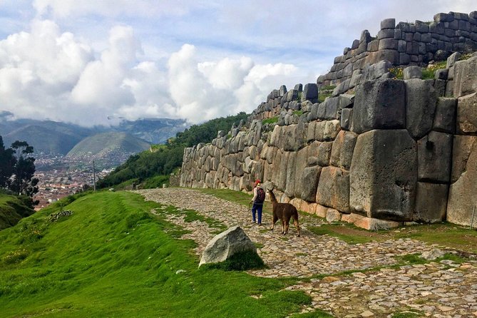 City Tour in Cusco & visit Museum South American Camelid Private. - Price and value: what you’re paying for at $49.40