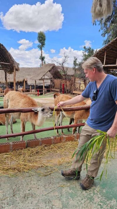 Cusco: Alpaca and Llama Farm Tour w/ Transfer & Weaving Demo - What You’ll See: alpacas, llamas, vicuñas, and huanacos up close