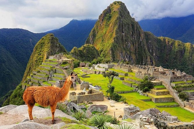 Excursion to MachuPicchu from Cusco with lunch | Private Service| - Key details that matter before you go