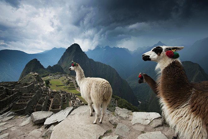 Excursion to MachuPicchu from Cusco with lunch | Private Service| - Train ride to Aguas Calientes: the calm middle of a long day