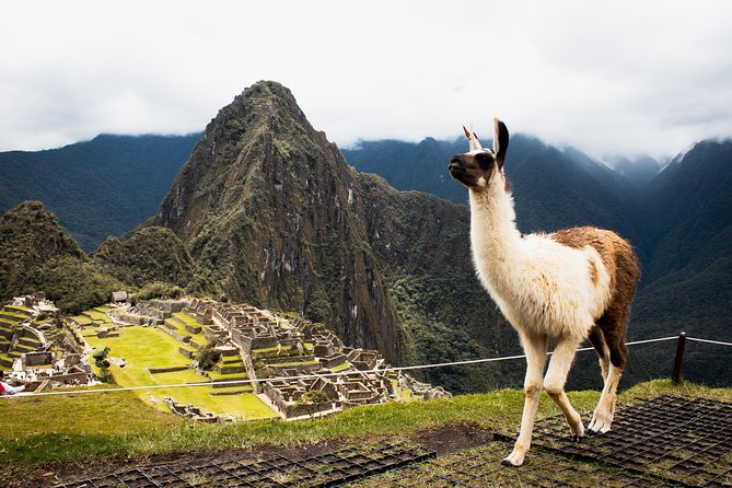 Excursion to MachuPicchu with Train Vistadome Full Day - Lunch and free time in Aguas Calientes: plan for limited slack