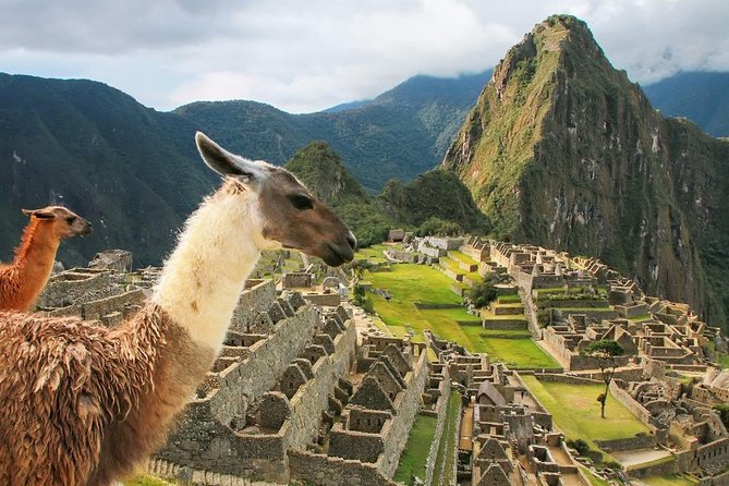 Excursion to MachuPicchu with Train Vistadome Full Day - Who should book this Machu Picchu excursion?