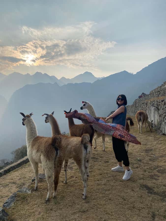 From Aguas Calientes: Machu Picchu guided tour with tickets - Your 3-Hour Guided Walk Through Machu Picchu’s Main Stops