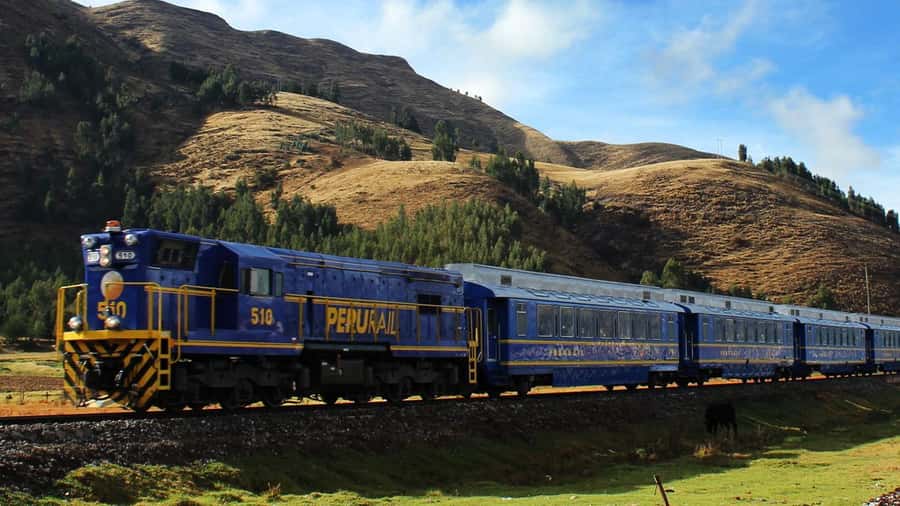 From Cusco: 1-day Machu Picchu Tour by Train - Key highlights worth planning for