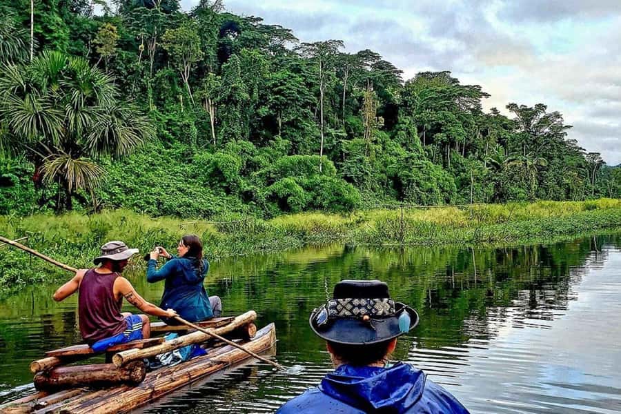 From Cusco: 4-Day Manu National Park Guided Tour - Day 3: clay lick parrots, forest hike, Machuwasi Lake rafts, and a night walk