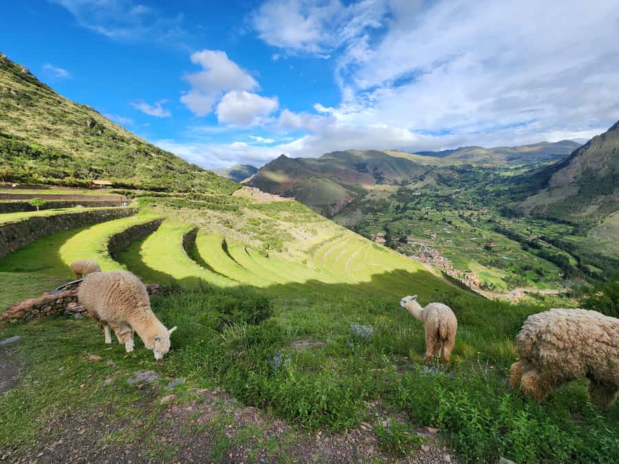 From Cusco: Chinchero, Moray, Maras, Ollantaytambo and Pisaq - Maras Salt Mines: Thousands of Pools, One Ancient Resource