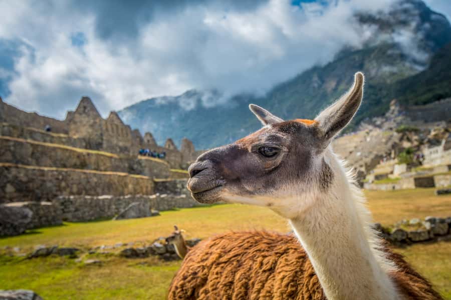 From Cusco: Machu Picchu Full-Day Guided Tour - Timing realities: crowds, weather, and why you should stay alert after the guide