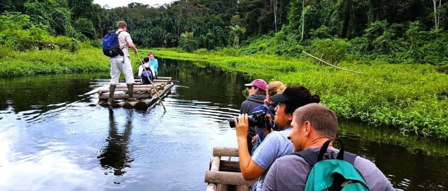 From Cusco: Manu National Park Tour & Accommodation 3 Days - Key things you’ll remember from this 3-day Manu trip