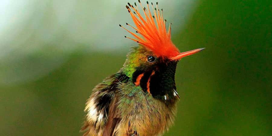 From Cusco: Manu National Park Tour & Accommodation 3 Days - Cusco to Manu: the road stops that set your pace