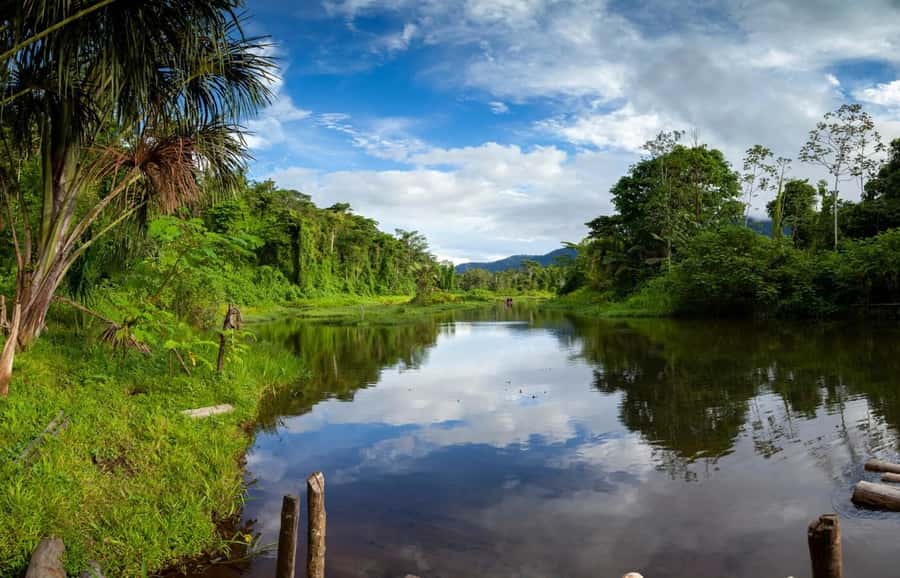 From Cusco: Manu National Park Tour & Accommodation 3 Days - Group size, language, and solo-traveler comfort