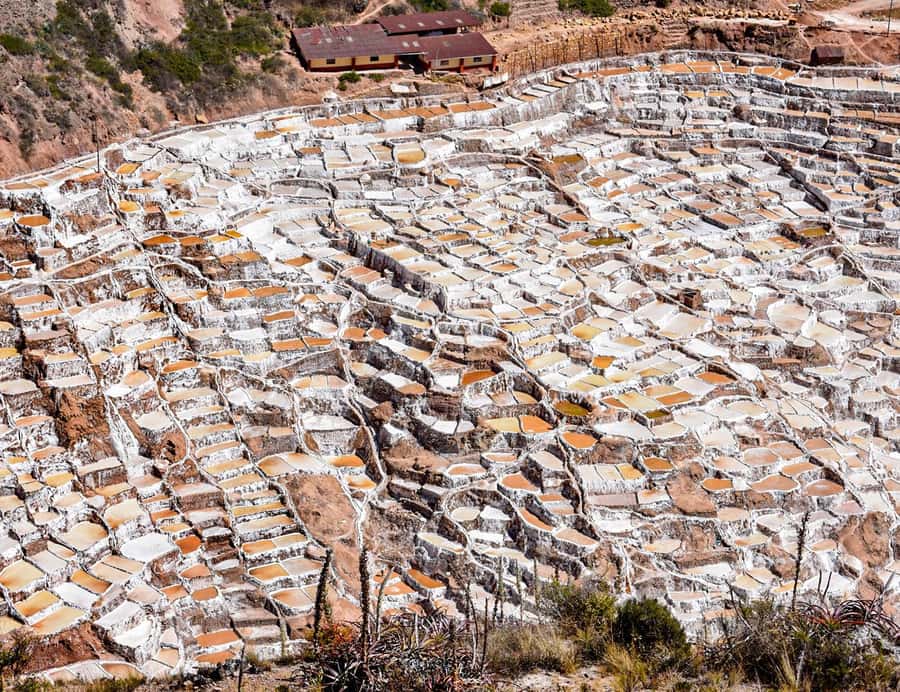 From Cusco: Moray, Maras Salt Mines & Chinchero Weavers Tour - Should you book this tour