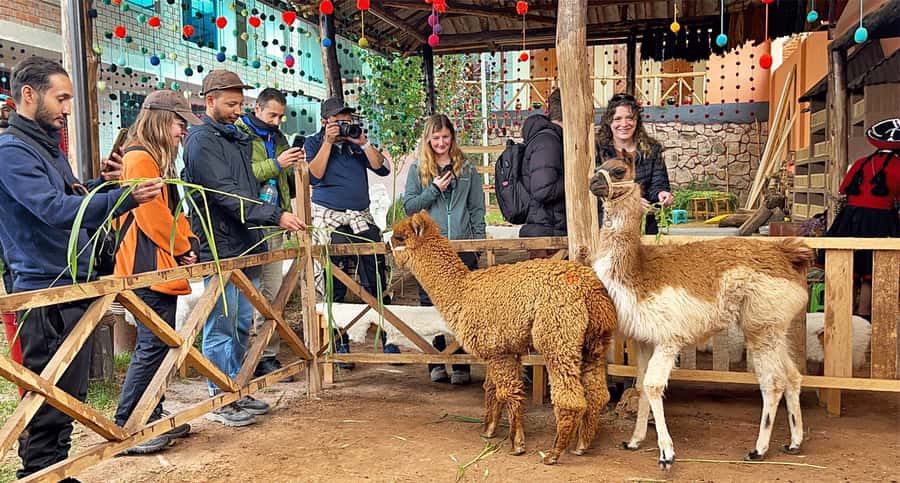 From Cusco: Sacred Valley & Maras Salt Mines Tour with Lunch - Chinchero weaving, the old church, and an Inca-world feel