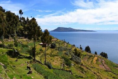 From Cusco to Lake Titicaca: 2-Day Homestay Tour - Uros Floating Islands: The Reed-Island Welcome