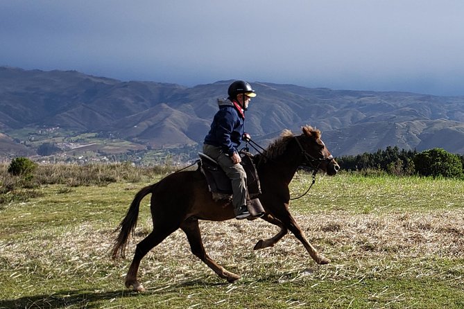 Half day Horseback Riding tour around Sacsayhuaman park - Getting to the Parklands: Private Cusco Transfers and Departure Times