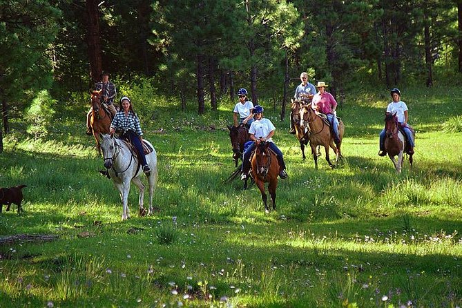 Horseback Riding Plus Tour to Sacsayhuaman, Quenqo, Puka Pucara and Tambomachay - Why this horseback-and-ruins tour works so well in Cusco