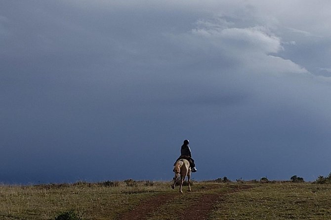 Horseback Tour in cusco to Temple of the Moon & Hidden temples - Cusco horseback riding + Temple of the Moon: a smart use of limited time