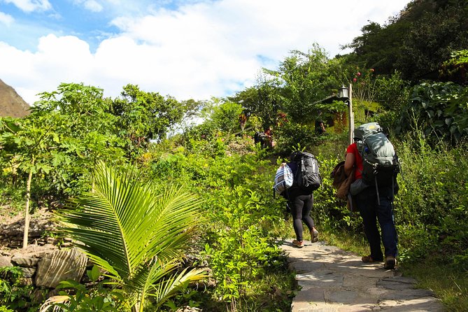 Inca Jungle Premium to Machu Picchu 4-Day and 3-Nights - Day 3: Hydroelectric to Aguas Calientes and the chance for zip line in Santa Teresa