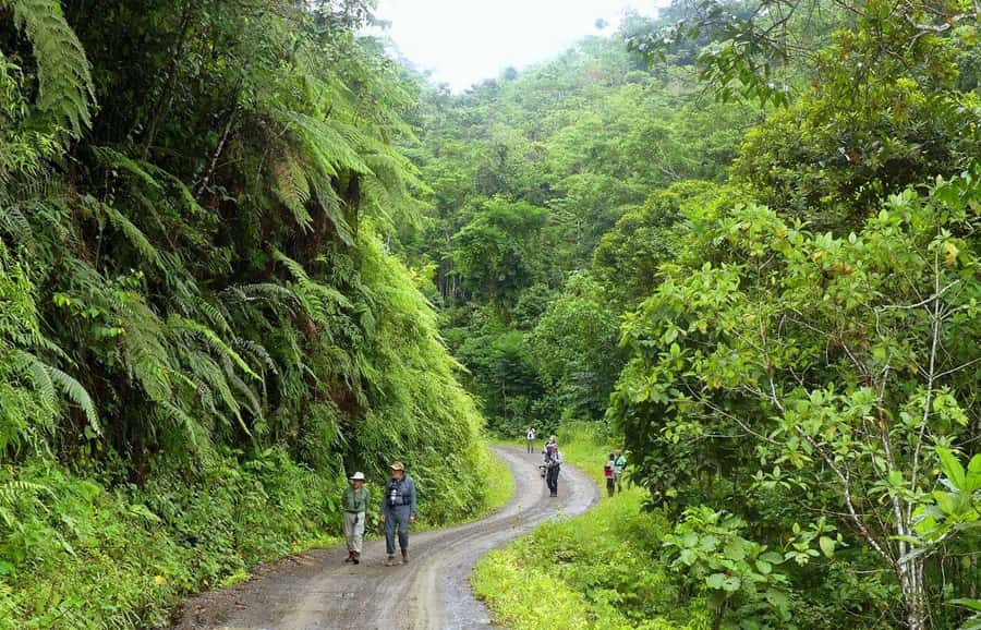 Living Nature from Cusco: 3 Days Manu Jungle all inclusive - Manu from Cusco: how this 3-day plan actually works