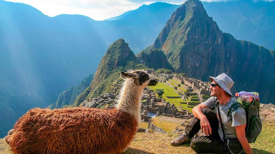 Machu Picchu: 1-day tour by Vistadome Panoramic train - The 04:00am Cusco pickup: early start, smoother day