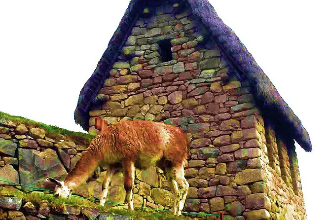 Machu Picchu 1 Day Tour from Cusco by Train - Why the small group (max 15) helps more than you think