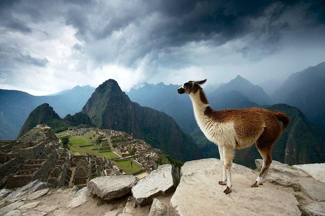 Machu Picchu Entrance Ticket - Two ways to do this: official digital entry vs Circuit 2 last-minute help