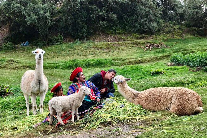 Machu Picchu Full Day from Cusco - What the day feels like: walking, stairs, and energy planning