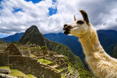 Machu Picchu Full Day with lunch by Aludi Travel - Getting Into Machu Picchu: Santuario Historico de Machu Picchu With a Guide