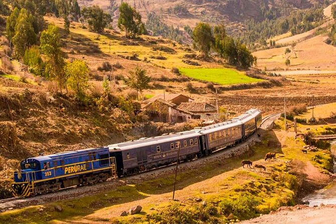 Machu Picchu in 1 Day from Cusco - The train to Aguas Calientes: included, timed, and worth it