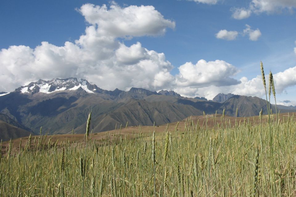 Machu Picchu: Private Full-Day Tour with Afternoon Entrance - Who This Private Afternoon Tour Is Best For