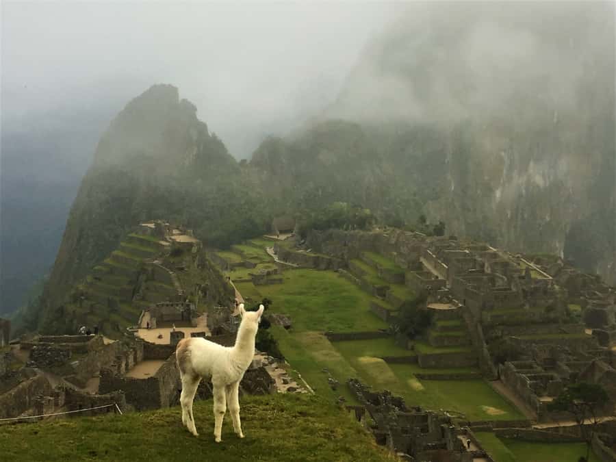Machu Picchu: Private Tour Guide Service - Best views, photos, and stories: why a local guide feels worth it